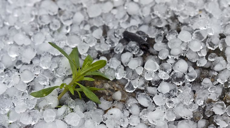 Las tormentas podrían estar acompañadas de caída de granizo Foto: shutterstock.com