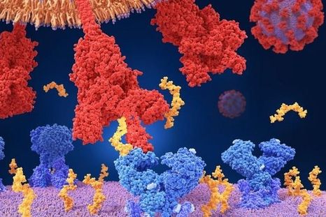 Foto: SCIENCE PHOTO LIBRARY