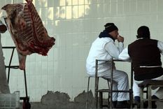 Foto: Pachy Reynoso/MDZ