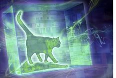 Foto: HARALD RITSCH/SCIENCE PHOTO LIBRARY