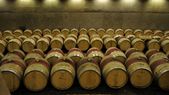 Para Bodegas de Argentina, la desregulación de la vitivinicultura sirve para competir en el mundo. Para Bodegas de Argentina, la desregulación de la vitivinicultura sirve para competir en el mundo.