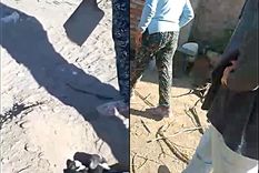 estaban enterrando cachorros vivos y los escracharon en san rafael