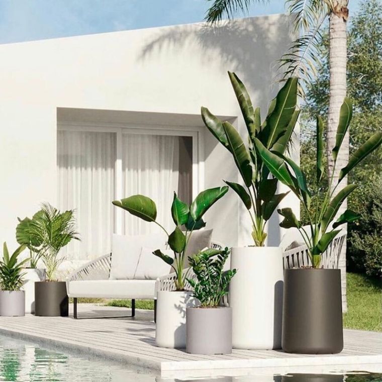 El ácido acetilsalicílico que contienen las aspirinas, funciona para prevenir hongos en las plantas.