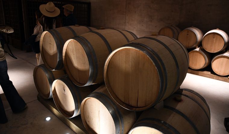 El vino argentino celebra el 24 de noviembre su día. El vino argentino celebra el 24 de noviembre su día.