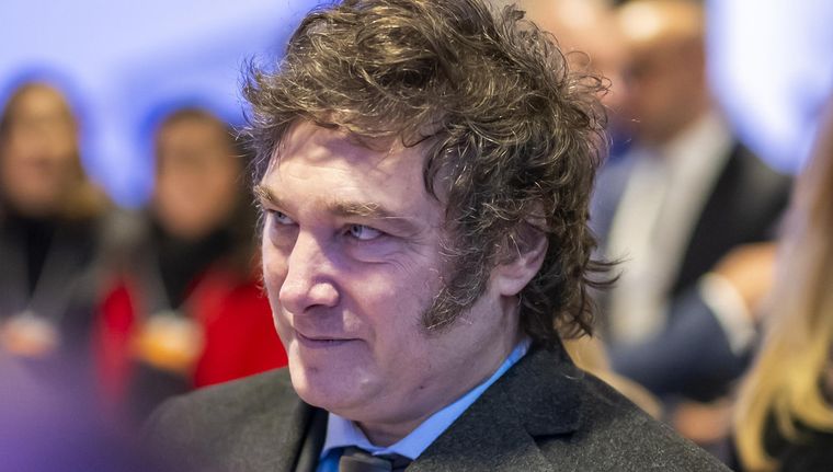 Milei reveló su estrategia sobre la recuperación de las Malvinas Foto: EFE