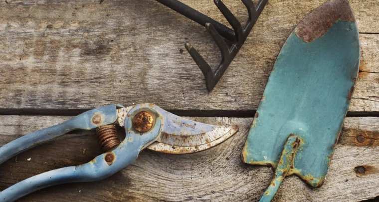 Sólo necesitas dos ingredientes de tu hogar: sal y limón Foto: Archivo