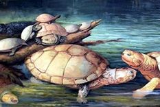 Recreación de las tortugas gigantes descubiertas en Socha, Boyacá, de la especie Puentemys mushaisaensis Foto: DPA Recreación de las tortugas gigantes descubiertas en Socha, Boyacá, de la especie Puentemys mushaisaensis Foto: DPA