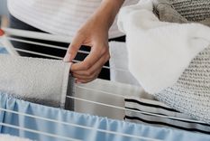 Con tan sólo un ingrediente de tu cocina soluciona este gran problema Foto: Shutterstock