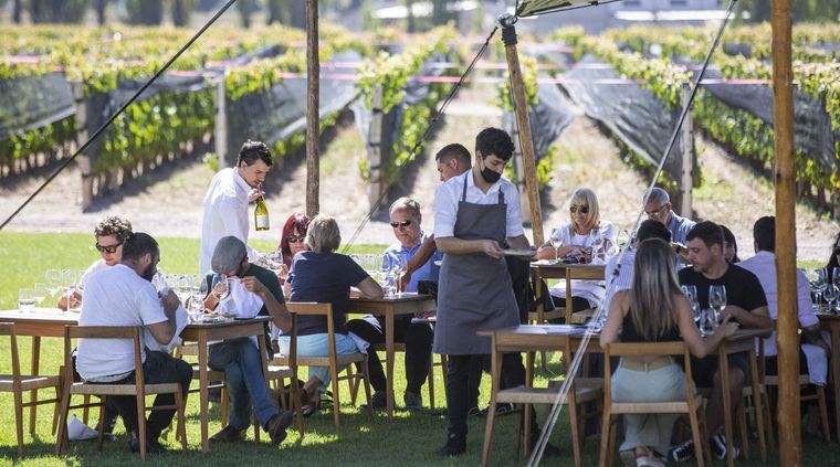 Los comensales disfrutaron del almuerzo al aire libre entre viñedos y con una vista espectacular a la Cordillera de los Andes. Foto: Gentileza