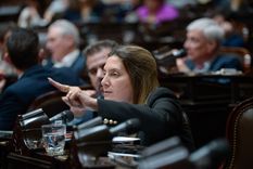 El presidente Javier Milei se comunicó con la diputada nacional del PRO Silvia Lospennato tras el fracaso de la sesión destinada a tratar el proyecto de Ficha Limpia. Foto: X (@DiputadosAR)