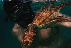 netflix: una propuesta para viajar alrededor del mundo netflix: una propuesta para viajar alrededor del mundo