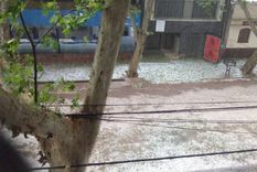 detalle del fenomeno climatico que azoto al gran mendoza