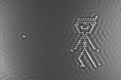 MDZol | Foto: tribecafilm.com