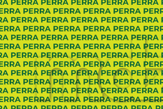 Este acertijo visual no solo entretetine, sino también entrena la visión ocular.