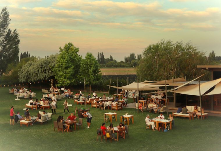 Una imagen de una increíble jornada en Susana Blabo Wines.