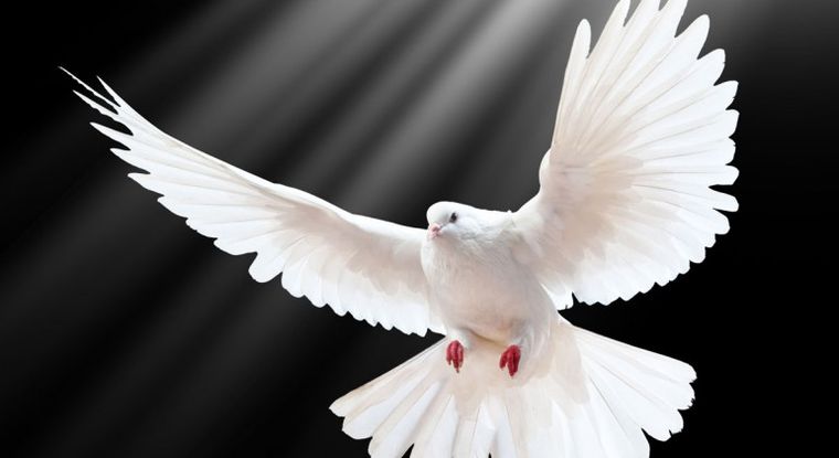 Foto: wp.cartafinanciera.com