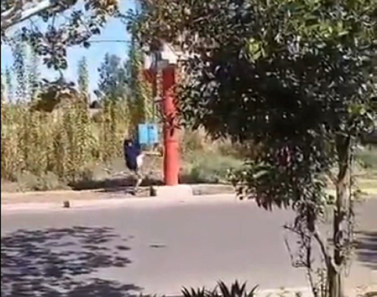 Uno de los sujetos tironea desde la vereda y otro, en altura, ayuda a desprender los cables. Uno quedó detenido. Foto: Captura de video.