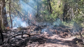 Si bien se habían reportado siete focos de incendio, ahora habría uno más. Si bien se habían reportado siete focos de incendio, ahora habría uno más.