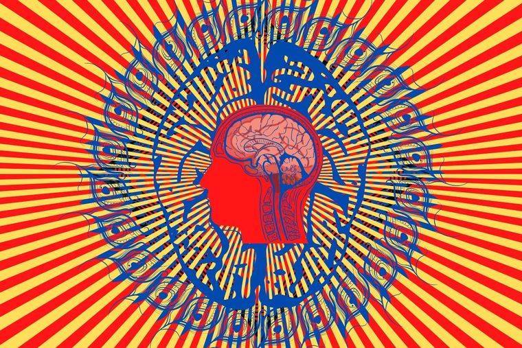 Este es el impensado test visual que sólo el 5% de los usuarios logra resolver Test visual Foto: Canva