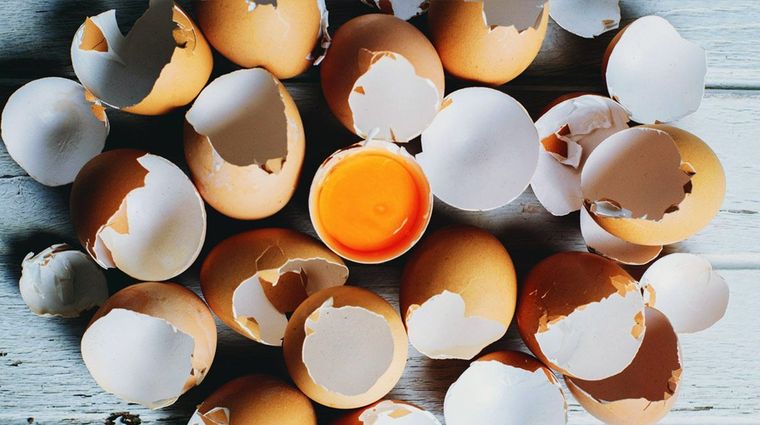 De ahora en más, no hay que tirar nunca más las cáscaras de huevo que es oro puro para el jardín De ahora en más, no hay que tirar nunca más las cáscaras de huevo que es oro puro para el jardín