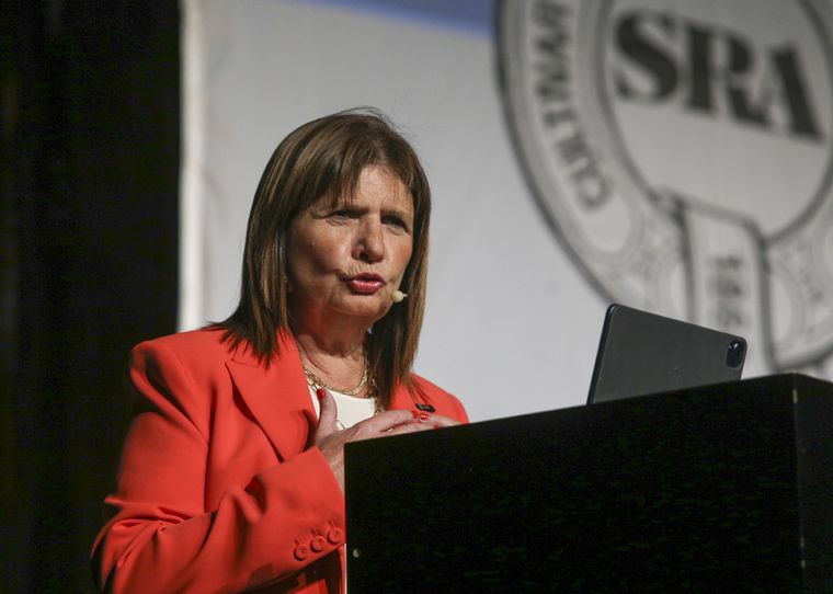 Candidata. Patricia Bullrich tiene un plan para convertir el empleo genuino. Foto: Noticias Argentinas