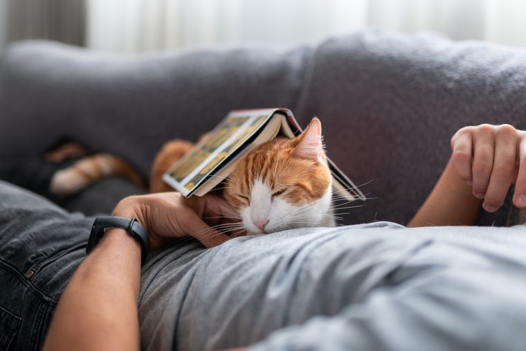 El descanso con tu mascota refuerza el vínculo. Foto: Shutterstock El descanso con tu mascota refuerza el vínculo. Foto: Shutterstock