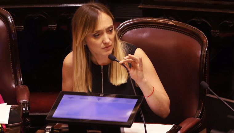 La senadora mendocina Anabel Fernández Sagasti Foto: NA