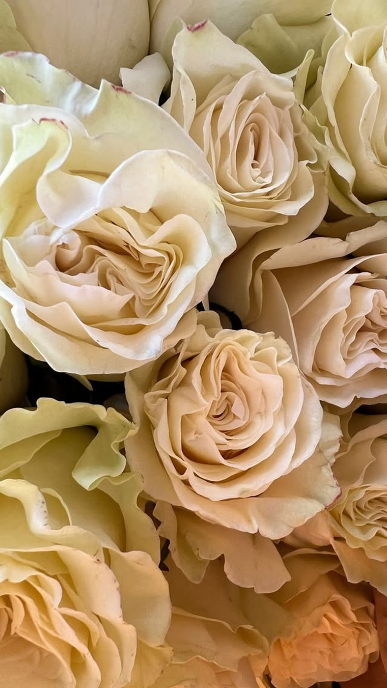 Rosas blancas para el cielo. Créditos: Instagram / benjaminvicuna.ok Rosas blancas para el cielo. Créditos: Instagram / benjaminvicuna.ok