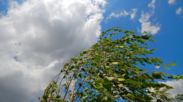 Se anuncian vientos fuertes en el sur para este jueves. Foto: shutterstock.com