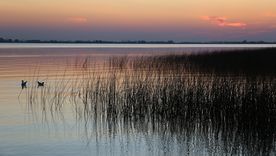 Los atardeceres en Chascomús obligan a bajar un cambio. Los atardeceres en Chascomús obligan a bajar un cambio.
