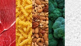 os cinco apetitos son: de proteínas, carbohidratos, grasas, calcio y sodio (sal).