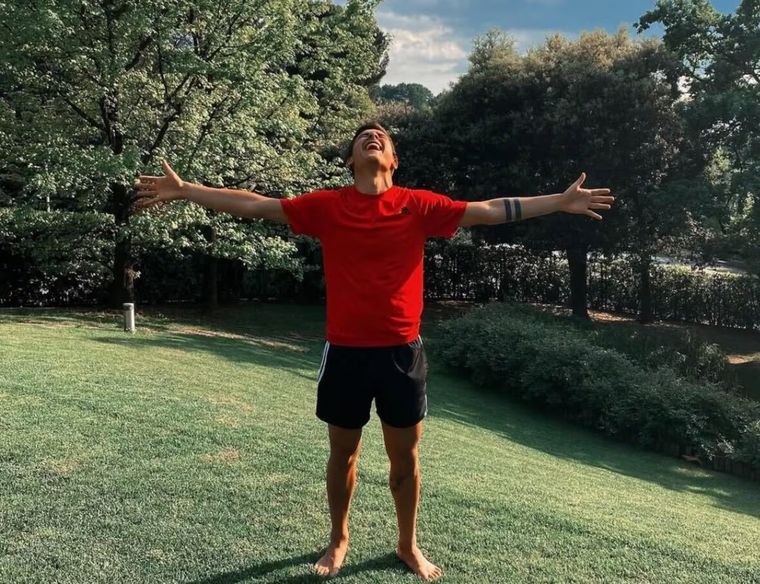 Un jardín de revista: arcos verdes y mucha vegetación rodean la pileta de la pareja. Un jardín de revista: arcos verdes y mucha vegetación rodean la pileta de la pareja.