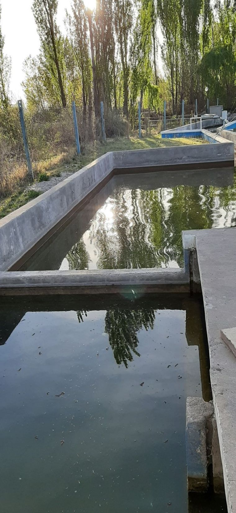 Las pequeñas entidades que entregan agua subterránea en zonas del campo trabajan con pozos y piletas Foto: Gentileza Epas