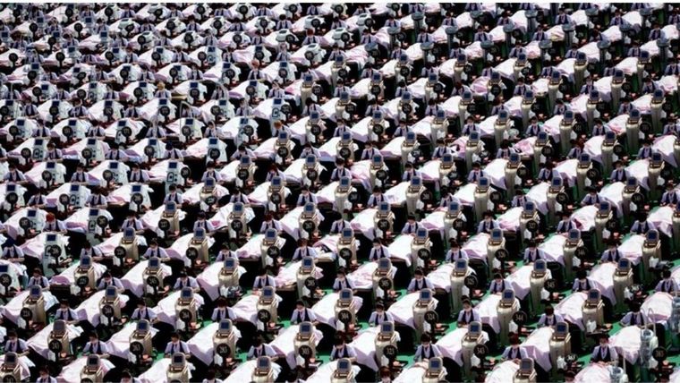 ACERTIJO VISUAL ACERTIJO VISUAL, RETO VISUAL, OSO PANDA Foto: ARCHIVO