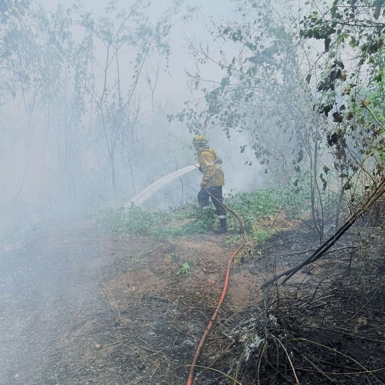 Las altas temperaturas y la sequedad extrema del ambiente generan un escenario de alto riesgo para nuevos focos de incendios.
