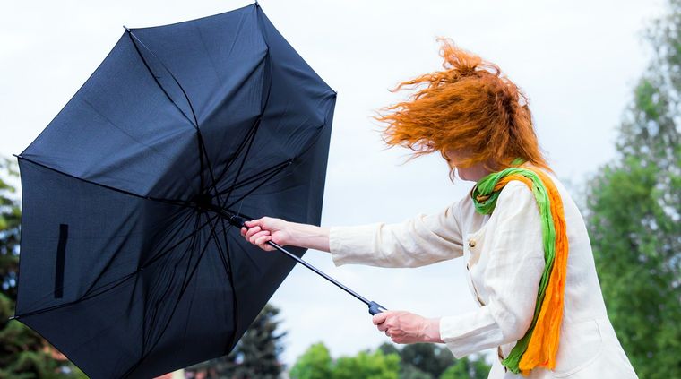 Foto: shutterstock.com