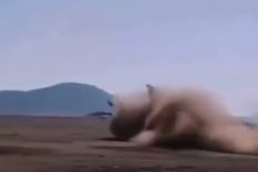 Guerlain Chicherit dio la nota en el comienzo de la jornada, protagonizando un fuerte accidente junto con Alex Winocq, su compañero de equipo Foto: Captura de video