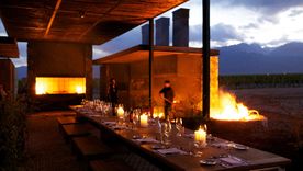 Foto: Gentileza The Vines