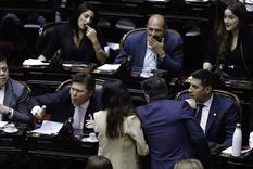 El Gobierno busca frenar una sesión que podría complicarle aún más el panorama. Foto: NA