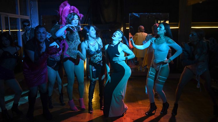 El show ha comenzado. El show ha comenzado.