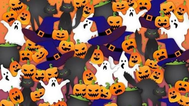 ACERTIJO VISUAL ACERTIJO VISUAL, RETO VISUAL, MURCIÉLAGO Foto: Archivo MDZ