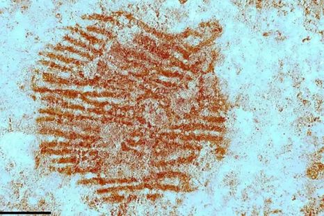 Al usarse herramientas especializadas de espectografía Foto: BBC Al usarse herramientas especializadas de espectografía Foto: BBC