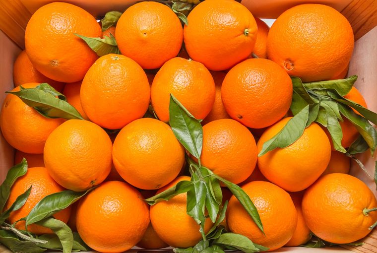 La naranja es una fruta versátil que puede se consumida de varias maneras. Foto: Shutterstock