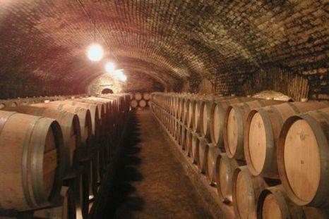 Barricas de Concha y Toro, líderes en el mundo.