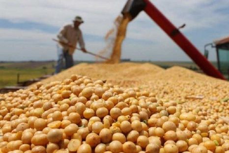En mayo comenzó a tomar ritmo la cosecha de soja en el país. En mayo comenzó a tomar ritmo la cosecha de soja en el país.