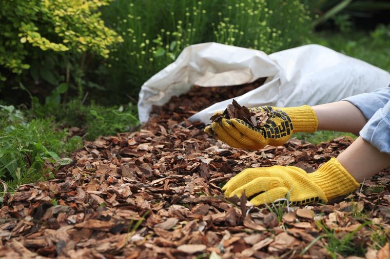 Realiza esta tarea y ayudarás a tu jardín durante el invierno Foto: Shutterstock