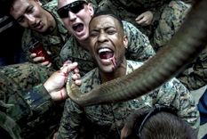 Ya no se verán estas crueles imágenes de Tailandia. Foto: Military.