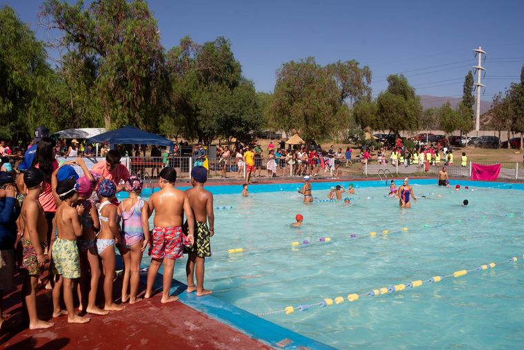 Para muchos niños, las escuelas de verano son la primera instancia de acercamiento a la natación. Para muchos niños, las escuelas de verano son la primera instancia de acercamiento a la natación.