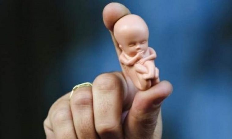 El proyecto apunta a un tratamiento digno de las personas abortadas Foto: Noticias Argentinas