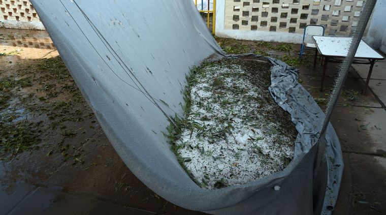 Foto: ALF PONCE MERCADO / MDZ